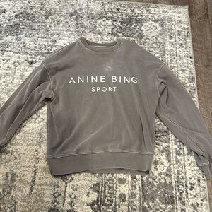 Anine bing sweatshirt